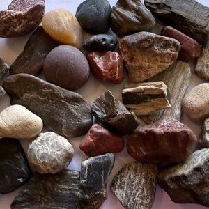 River Rocks - Petrified Wood for Crafts or Collections